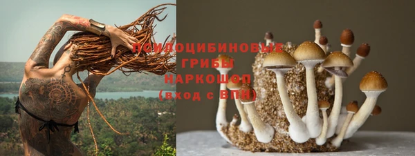 метадон Заволжск