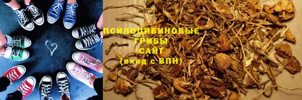 дурь Заводоуковск